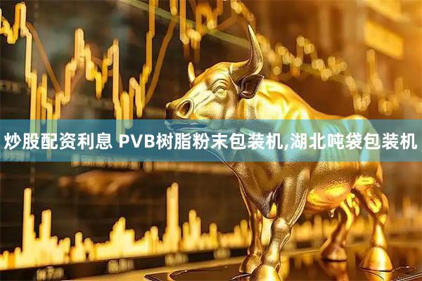 炒股配资利息 PVB树脂粉末包装机,湖北吨袋包装机