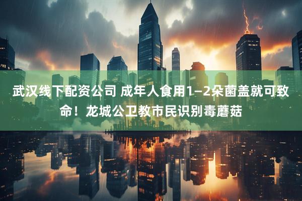 武汉线下配资公司 成年人食用1—2朵菌盖就可致命！龙城公卫教市民识别毒蘑菇
