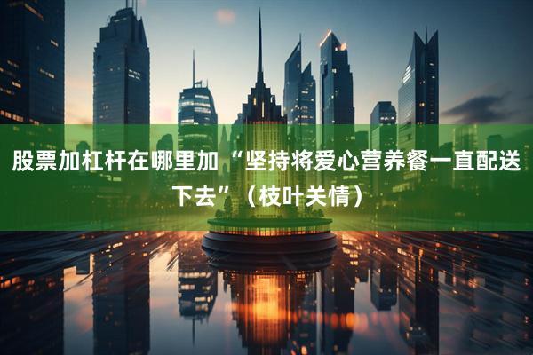 股票加杠杆在哪里加 “坚持将爱心营养餐一直配送下去”（枝叶关情）